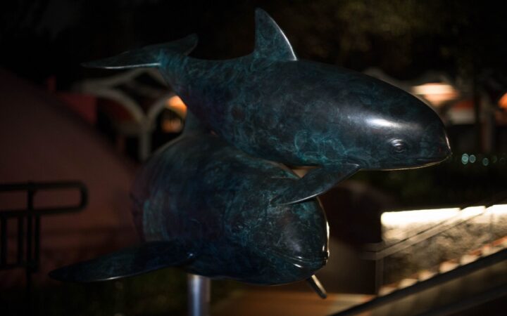 La vaquita marina es un elemento funcional del ecosistema: Lorenzo Rojas | Entérate La vaquita marina es un elemento funcional del ecosistema: Lorenzo Rojas | Entérate
