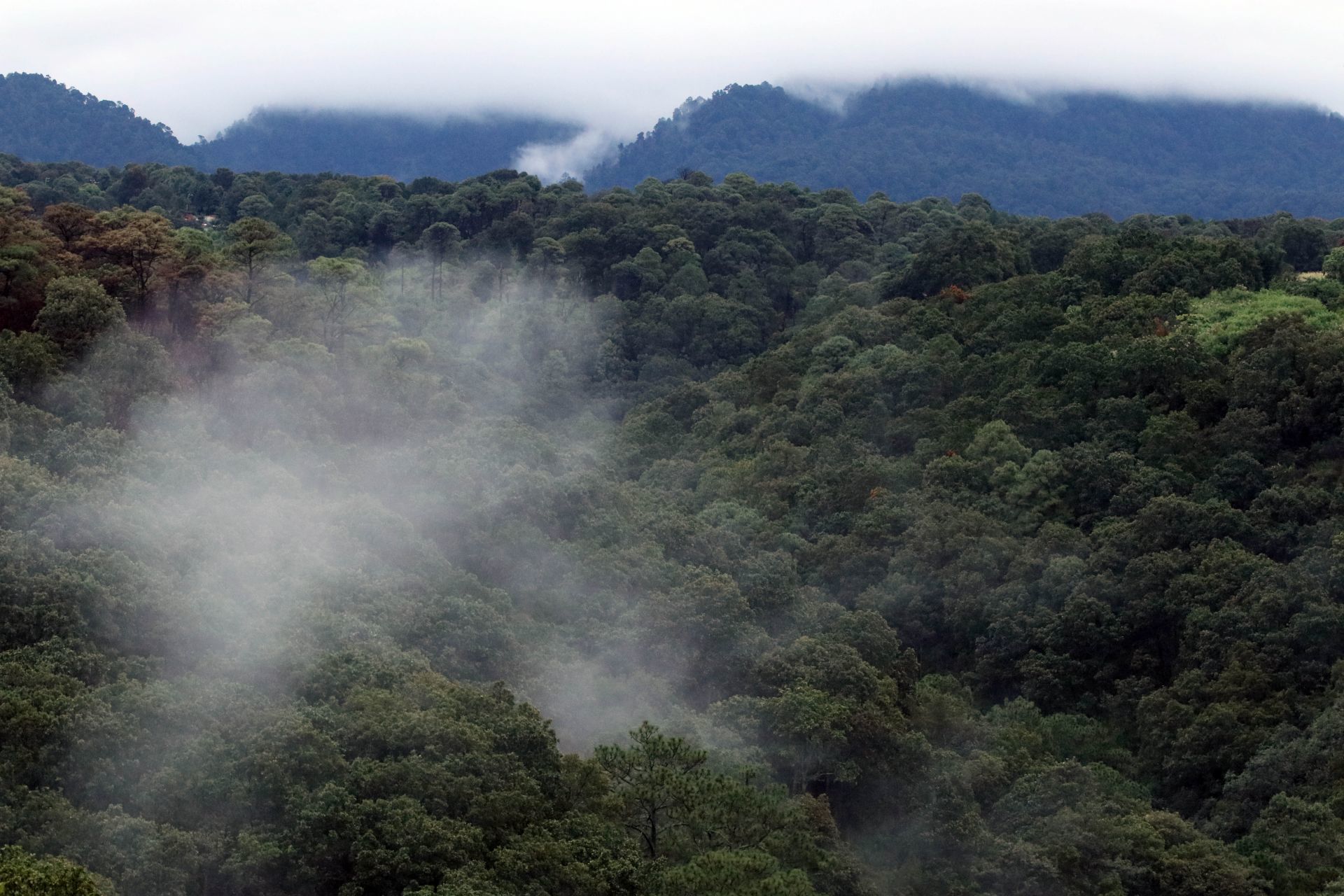 COP30 en la mira: México exige una NDC justa, ambiciosa y coherente COP30 en la mira: México exige una NDC justa, ambiciosa y coherente