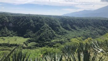 Los Bóscares: Estas son las iniciativas premiadas por el cuidado de los bosques de México | Reforestamos