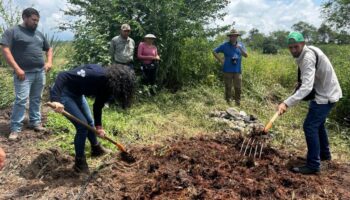 Bosques del futuro | Tecnología y comunidad tejen puentes para conservación en México