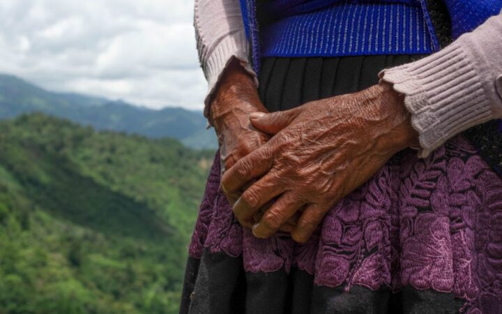 Indígenas desplazados en Chiapas exigen traslado tras 9 años de espera Indígenas desplazados en Chiapas exigen traslado tras 9 años de espera