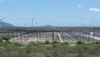 Despojo colectivo por parte de la CFE en tierras zapotecas
