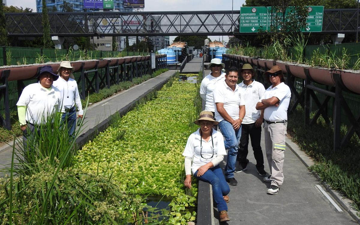 Parque Lineal Ecoducto Río de la Piedad: un pequeño oasis | Por Carlos Galindo y Alejandro Alva