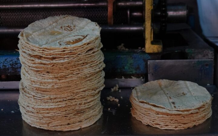 Gobierno de México anuncia acuerdo para estabilizar y reducir el precio de la tortilla Gobierno de México anuncia acuerdo para estabilizar y reducir el precio de la tortilla