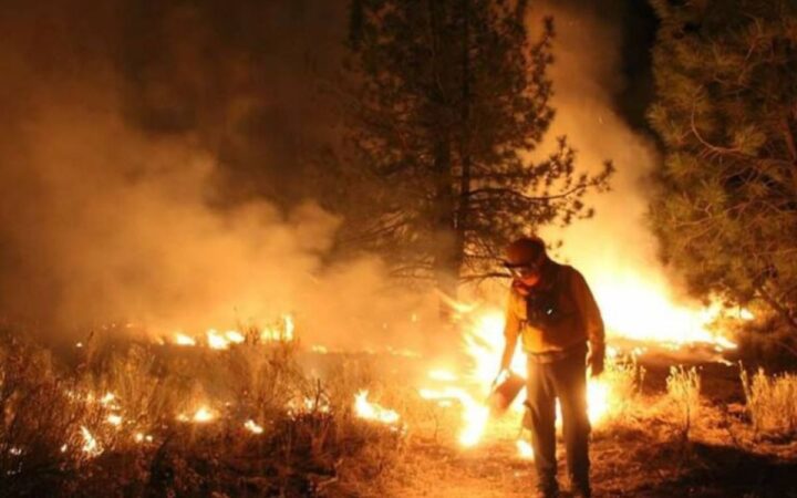Envían tercer grupo de brigadistas mexicanos para sofocar incendios en Canadá Envían tercer grupo de brigadistas mexicanos para sofocar incendios en Canadá