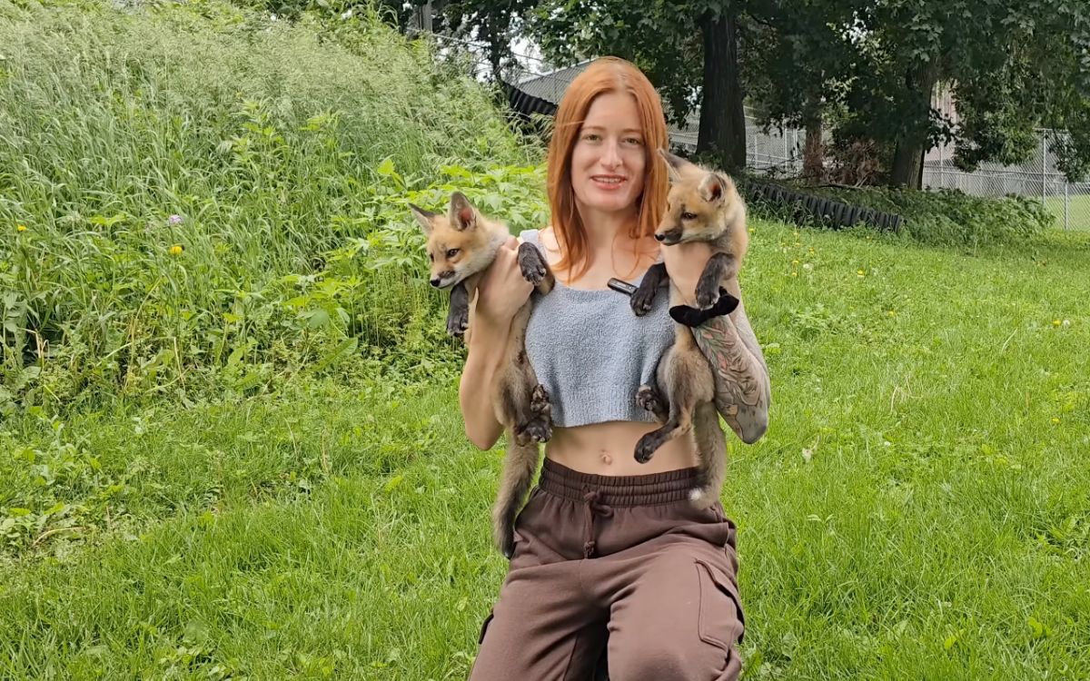 Mikayla Raines, youtuber rescatista de zorros, fallece por suicidio tras sufrir acoso en línea Mikayla Raines, youtuber rescatista de zorros, fallece por suicidio tras sufrir acoso en línea