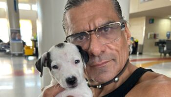 Asesinan a actor de 'King of the Hill' y queman su casa tras amenazas homofóbicas