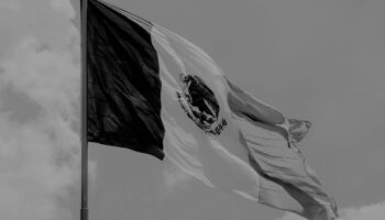 México dejó de ser una democracia e ingresó en el terreno del autoritarismo: Dr. Zovatto | Video