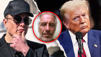 Curioso que redadas empezaron después de dichos de Musk sobre relación Trump-Epstein: periodista | Video