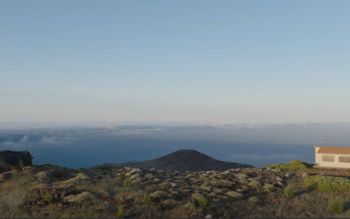 De cantos grabados a nidos artificiales: El ingenioso método que convence a las aves marinas de regresar a sus hogares perdidos | Entérate De cantos grabados a nidos artificiales: El ingenioso método que convence a las aves marinas de regresar a sus hogares perdidos | Entérate