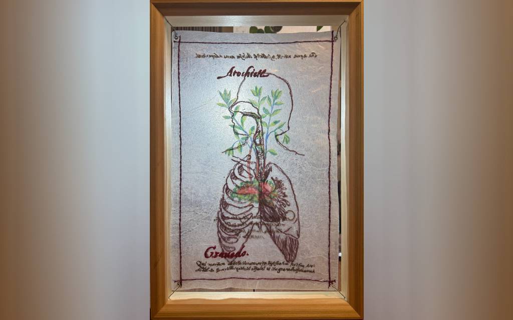 Una relectura de la herbolaria nahua en la nueva exposición del Jardín Botánico del IBUNAM Una relectura de la herbolaria nahua en la nueva exposición del Jardín Botánico del IBUNAM