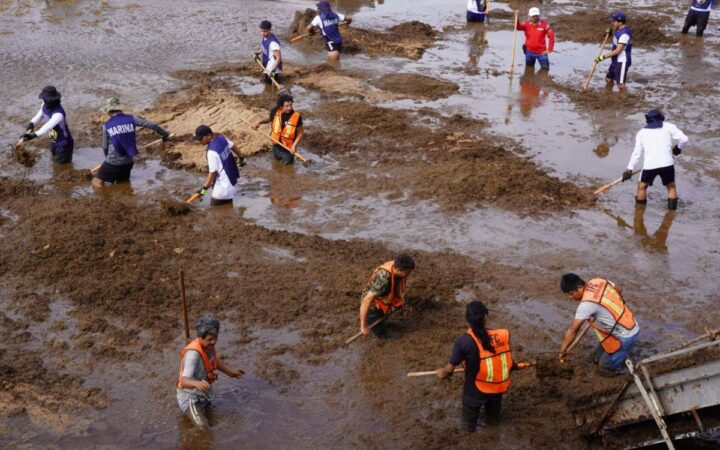 Playas tóxicas: cómo el sargazo está envenenando el Caribe mexicano