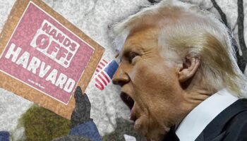Universidades bajo asedio: la libertad de cátedra ante el autoritarismo global | Por Mario Luis Fuentes