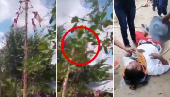 Videos | Tragedia en Veracruz: Voladores de Papantla caen desde 10 metros de altura