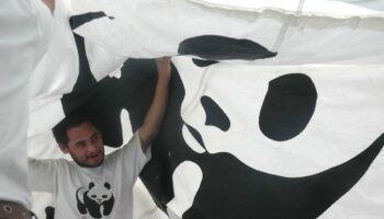 Buscamos cambiar la forma negativa en cómo nos relacionamos con el planeta: WWF