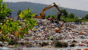 Flextival: una opción para los plásticos flexibles | WWF Mexico