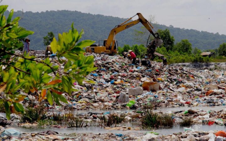 Flextival: una opción para los plásticos flexibles | WWF Mexico