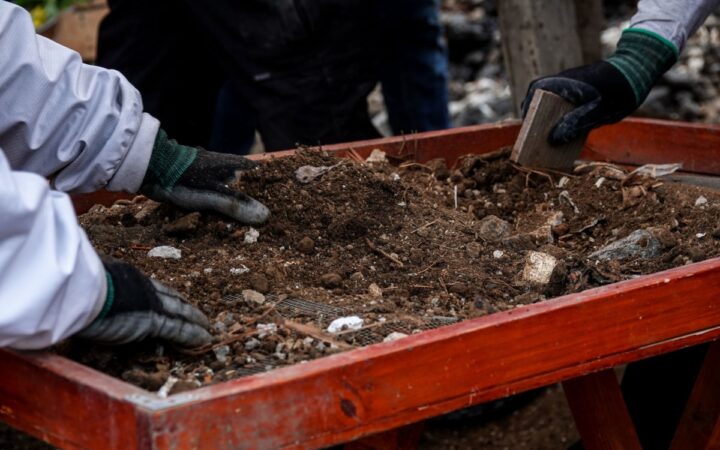 Flora y fauna, guía para localizar fosas clandestinas: investigación de buscadores en Jalisco Flora y fauna, guía para localizar fosas clandestinas: investigación de buscadores en Jalisco