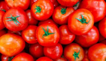 Tomate o jitomate ¿hay una respuesta correcta?