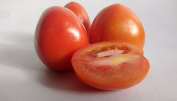 Arancel al tomate mexicano aumentó la inflación en EU: Grupo Consultor de Mercados Agrícolas | Entérate