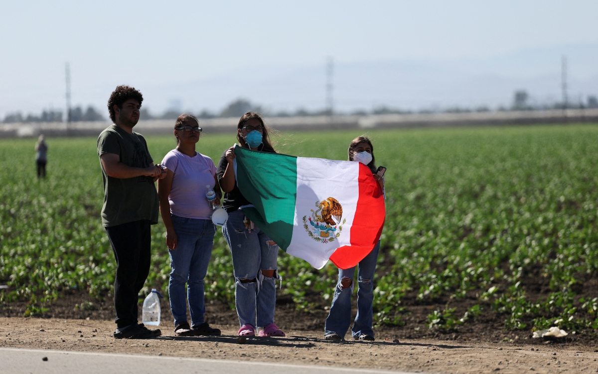 Mexicanos en EU tenían mejor salud mental en 2024 que 'los blancos y los afroestadounidenses': UNAM Mexicanos en EU tenían mejor salud mental en 2024 que 'los blancos y los afroestadounidenses': UNAM