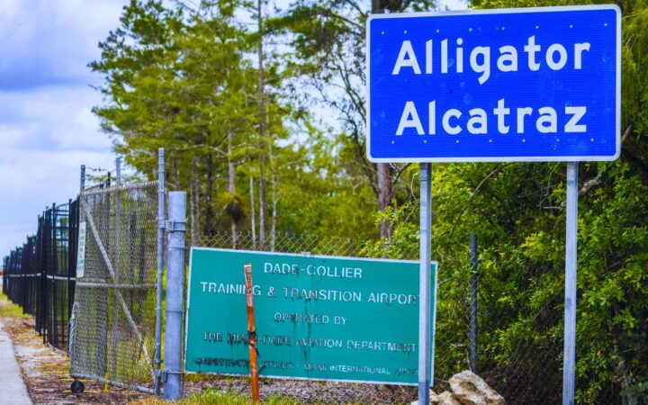 EU comienza a deportar a migrantes en vuelos desde 'Alligator Alcatraz' EU comienza a deportar a migrantes en vuelos desde 'Alligator Alcatraz'