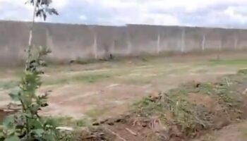 Hallan 211 bolsas con restos humanos en la fosa Las Agujas, Jalisco; la más grande del año