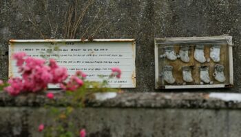 Escándalo en Iglesia irlandesa: Inician excavación de fosa común con casi 800 bebés