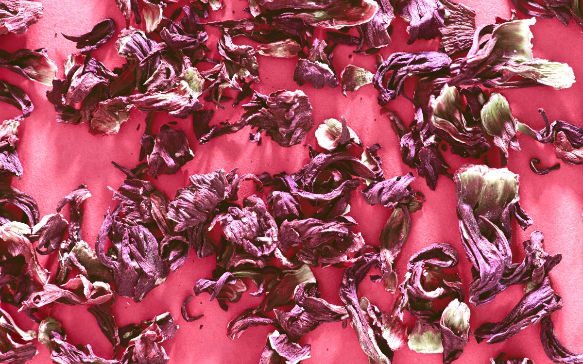 Tequila rosado con jamaica: la innovación mexicana que da vuelta al mundo |  Aristegui Noticias