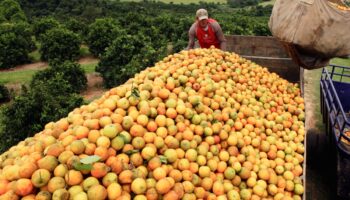 Jugo de naranja, oro y aviación, principales excepciones al arancel del 50% de Trump a Brasil