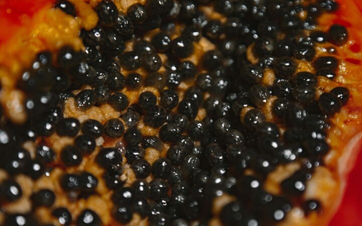 EU: Hallan más de 23 millones en metanfetamina en cargamento de papaya EU: Hallan más de 23 millones en metanfetamina en cargamento de papaya