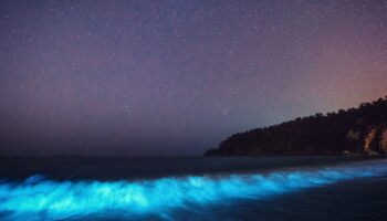 El plancton bioluminiscente #Niñonautas con Kirén Miret