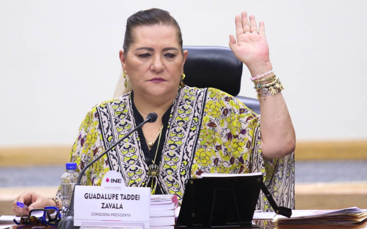 INE dividido aprueba multas por acordeones; Taddei acusa 'ilegalidad' INE dividido aprueba multas por acordeones; Taddei acusa 'ilegalidad'