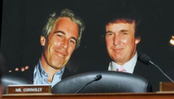 Trump: debería publicarse la información 'creíble' del caso Epstein