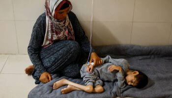Más de 100 ONG denuncian que Israel les impidió entregar ayuda en Gaza