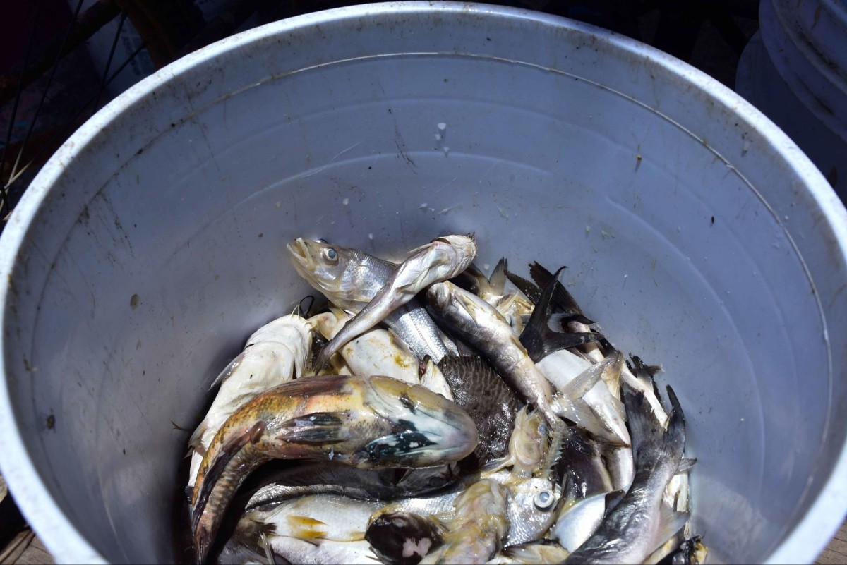 FOTO: CARLOS CARBAJAL/CUARTOSCURO.COM