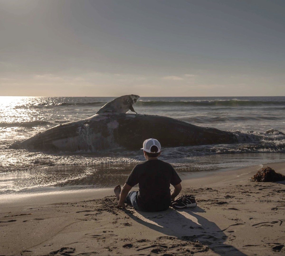 FOTO: OMAR MARTÍNEZ/ CUARTOSCURO.COM