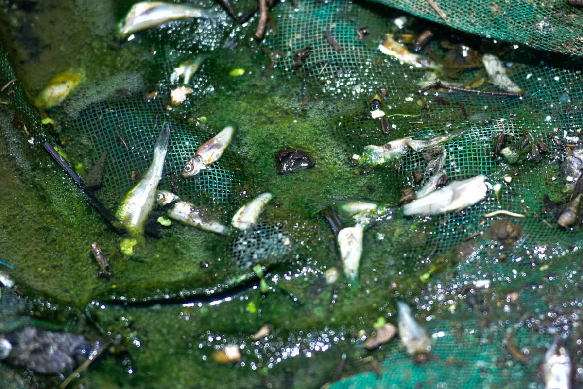 FOTO: CARLOS CARBAJAL/CUARTOSCURO.COM