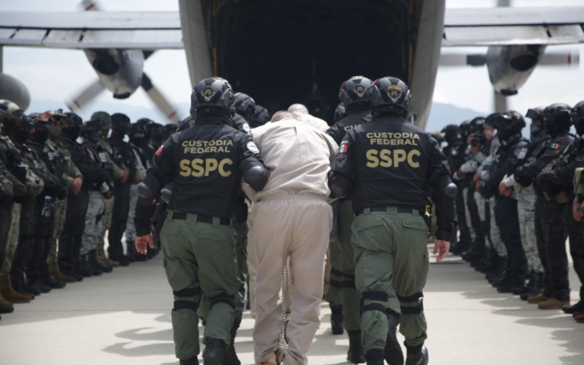 Presuntos miembros de cárteles en México usaban el amparo para ganar tiempo | OCCRP