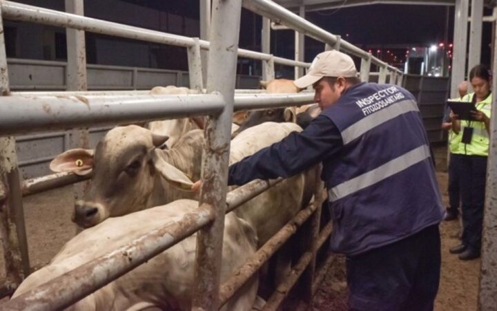 Sader afirma que caso de gusano barrenador en NL está contenido