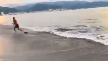 Adolescente logra escapar de cocodrilo en Puerto Vallarta