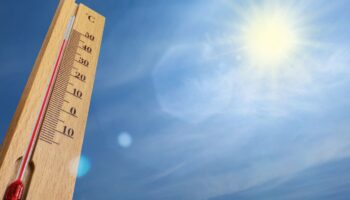 EU alerta de 'calor peligroso' en la frontera con México