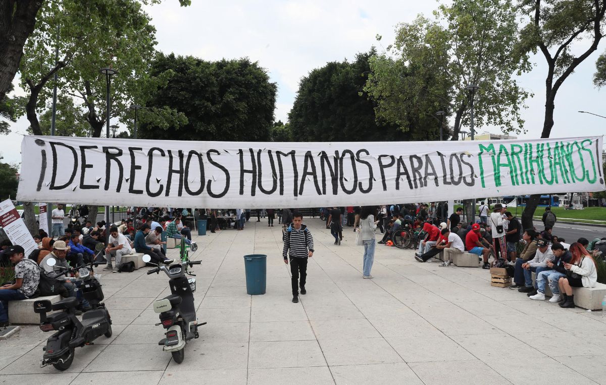 CDMX estrena 'paraísos' para fumar marihuana, en medio de 'lagunas' legales CDMX estrena 'paraísos' para fumar marihuana, en medio de 'lagunas' legales