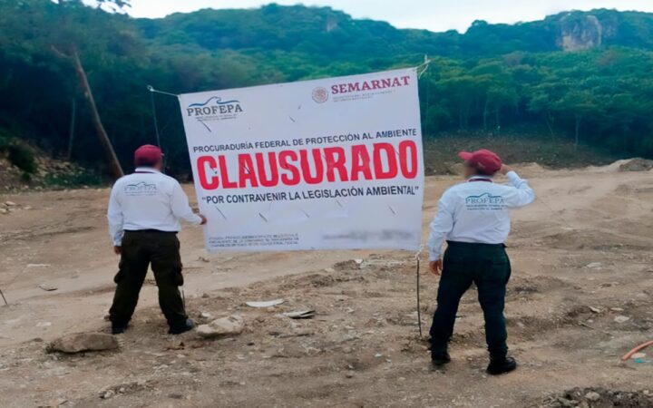 Chiapas | Arrasan con más de 4 mil metros cuadrados de selva baja en Tuxtla Gutiérrez Chiapas | Arrasan con más de 4 mil metros cuadrados de selva baja en Tuxtla Gutiérrez
