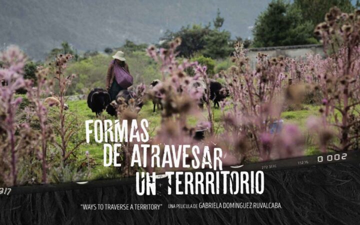 Formas de atravesar un territorio: una mirada a las mujeres tsotsiles Formas de atravesar un territorio: una mirada a las mujeres tsotsiles