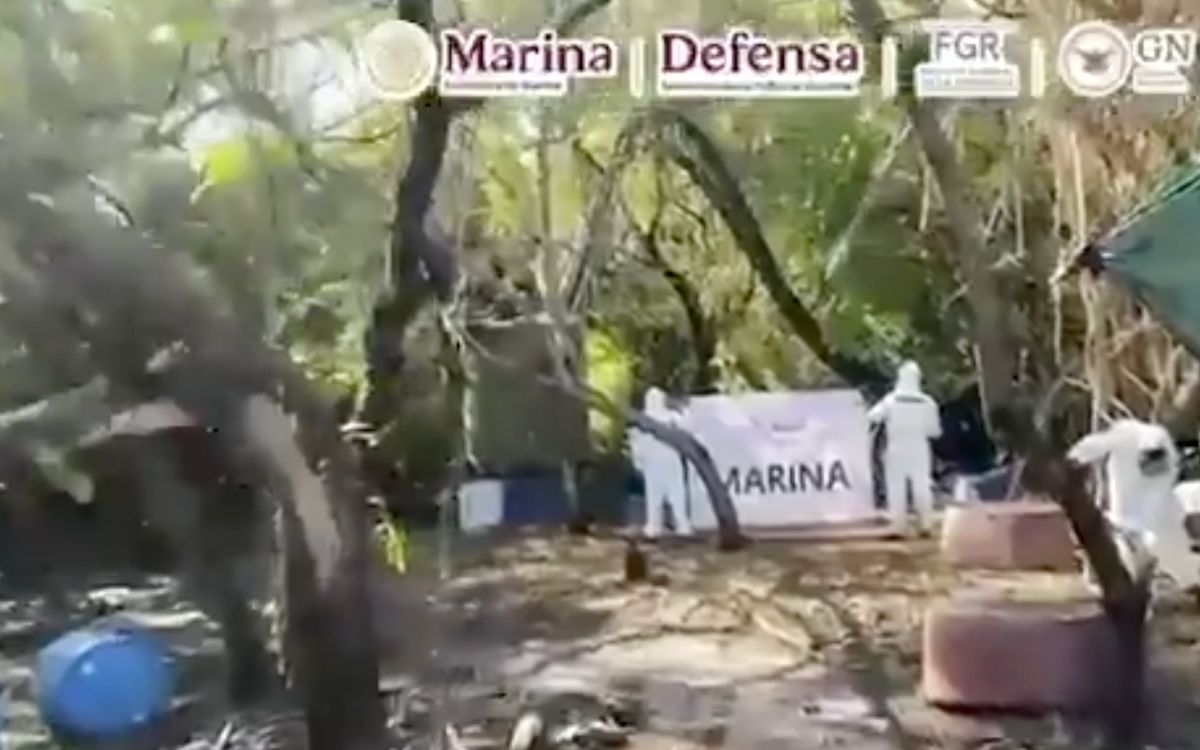 Marina desmantela mega laboratorio de metanfetaminas en Nayarit | Video Marina desmantela mega laboratorio de metanfetaminas en Nayarit | Video