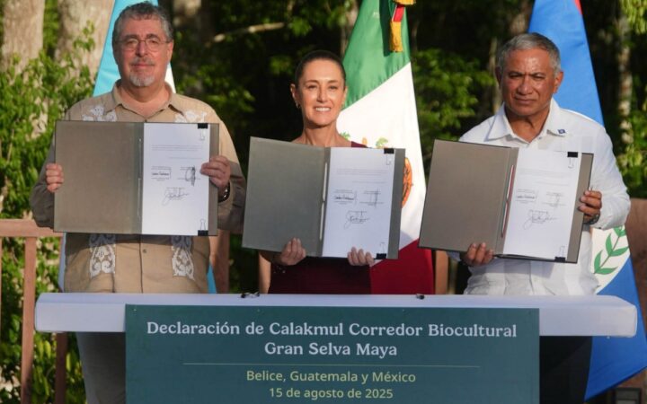 México, Guatemala y Belice crean el Corredor Biocultural de la Gran Selva Maya, el más grande del mundo México, Guatemala y Belice crean el Corredor Biocultural de la Gran Selva Maya, el más grande del mundo