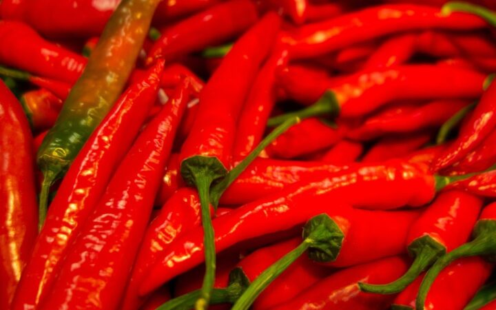 Comer picante podría resultar en menor incidencia de males cardiovasculares | Estudio