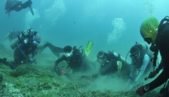 Buzos retiran red fantasma de 100m en Parque Nacional Espíritu Santo