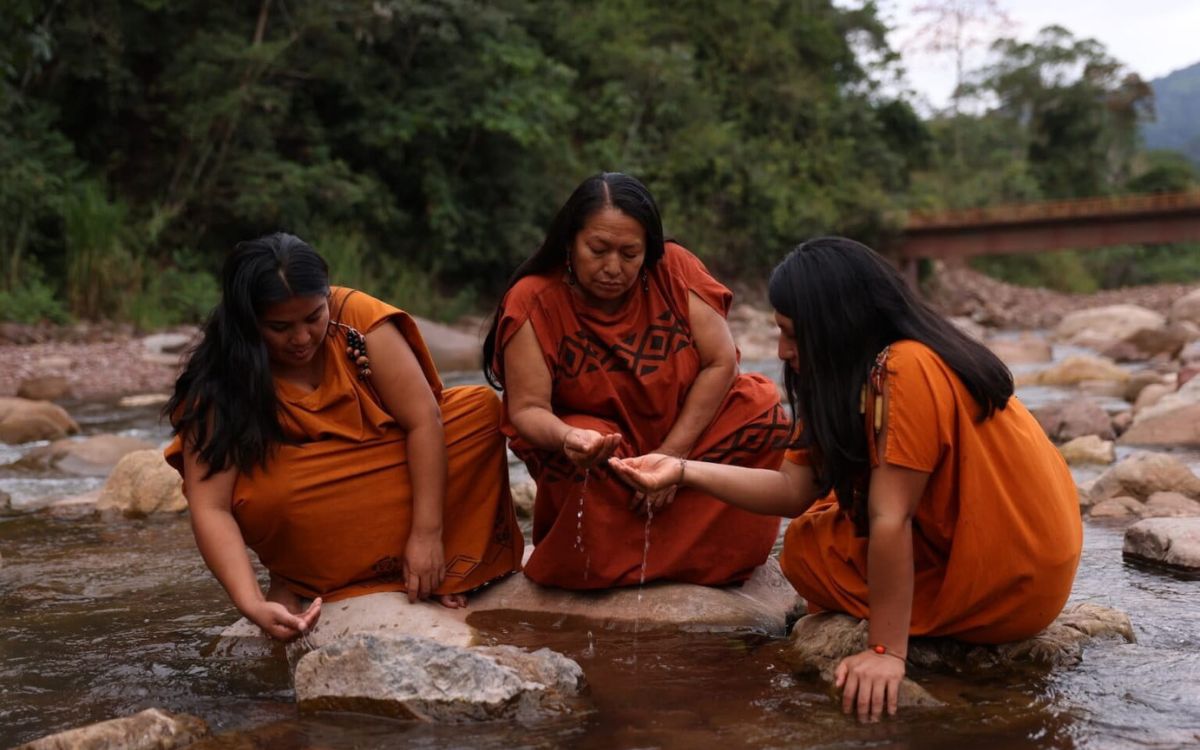 Día Internacional de las Mujeres Indígenas: tres lideresas que cambian el rumbo de sus comunidades en Latinoamérica | Mongabay Día Internacional de las Mujeres Indígenas: tres lideresas que cambian el rumbo de sus comunidades en Latinoamérica | Mongabay